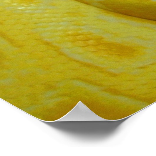 Phantastisch-Gelbe Burmese-Python Poster (Ecke)