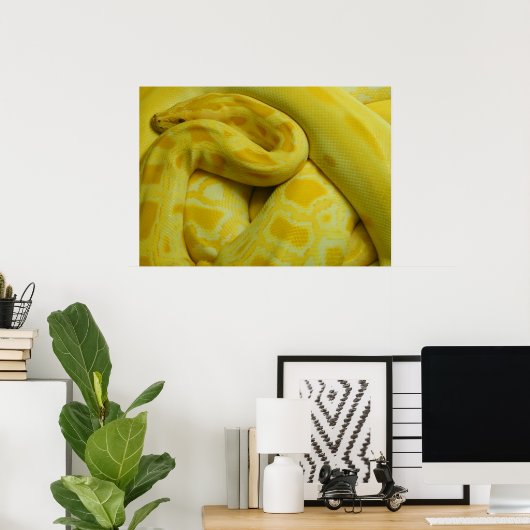 Phantastisch-Gelbe Burmese-Python Poster (Heimbüro)