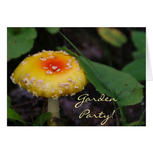 Phantastisch-gelbes Mushroom (Vorderseite (Horizontal))