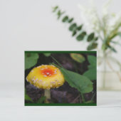 Phantastisch-gelbes Mushroom Postkarte (Stehend Vorderseite)