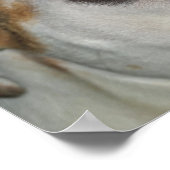 Phantastisch Grace Bulldog Cross Poster (Ecke)