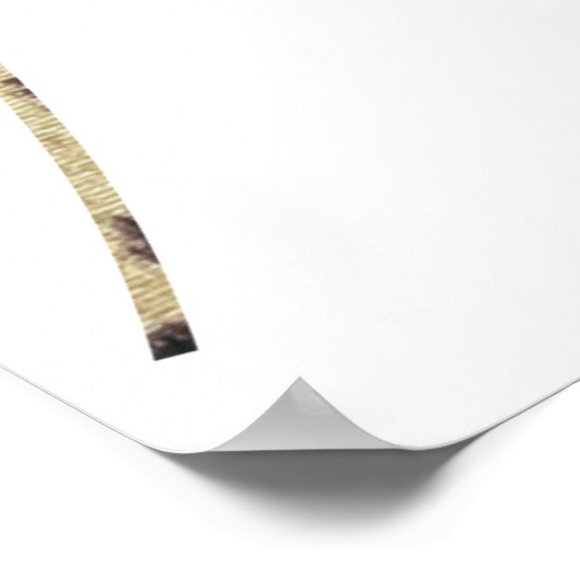 Phantastisch Grace mit Dandelion Poster (Ecke)