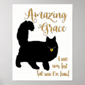 Phantastisch Grace Retcued Cat Poster (Vorne)
