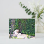 Phantastisch Great White Tiger Postkarte (Stehend Vorderseite)