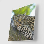 Phantastisch Leopard Quadratische Wanduhr (Winkel)