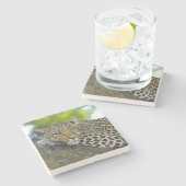 Phantastisch Leopard Steinuntersetzer (Seitenansicht)