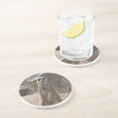 Phantastisch Meerkat Getränkeuntersetzer (Seite)