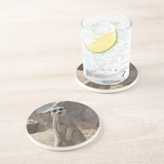 Phantastisch Meerkat Getränkeuntersetzer (Seite)