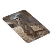 Phantastisch Meerkat Magnet (Rechte Seite)