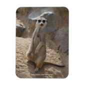 Phantastisch Meerkat Magnet (Vertikal)