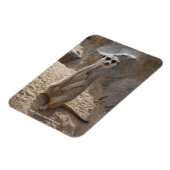 Phantastisch Meerkat Magnet (Linke Seite)