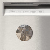 Phantastisch Meerkat Magnet (In Situ (Geschirrspüler))