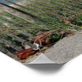 Phantastisch! Poster (Ecke)