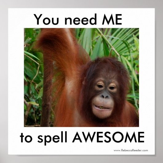 Phantastisch: Sie brauchen mich Poster (Vorne)