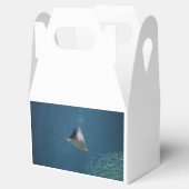 Phantastisch Stingray Geschenkschachtel (Geöffnet)