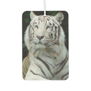 Phantastisch White Tiger Autolufterfrischer