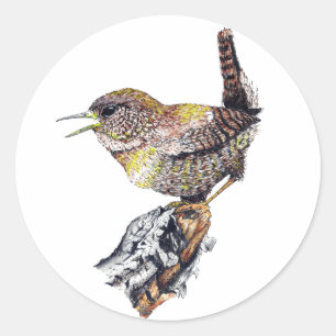 Phantastisch Wren Sticker