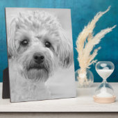 Phantastisch Yorkie Poo in Sepia Tones Fotoplatte (Seite)