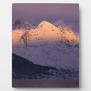 Phantastische Alpengabe Fotoplatte