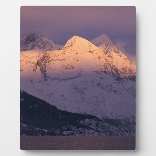 Phantastische Alpengabe Fotoplatte (Vorderseite)