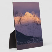 Phantastische Alpengabe Fotoplatte (Seite)