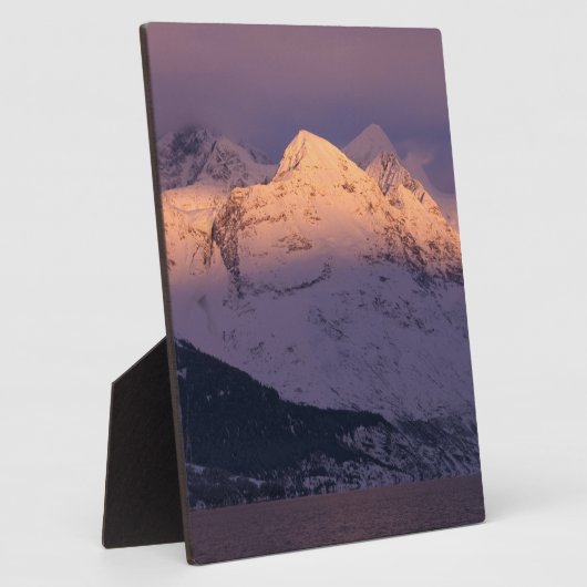 Phantastische Alpengabe Fotoplatte (Seite)