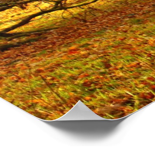 Phantastische alte Eichenbäume in Schottland Poster (Ecke)