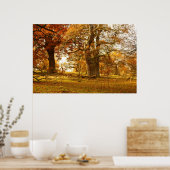 Phantastische alte Eichenbäume in Schottland Poster (Küche)