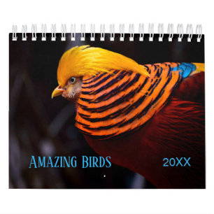 Phantastische BIRDS Fotografie Kalender
