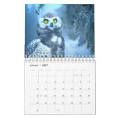 Phantastische BIRDS Fotografie Kalender (Jan 2027)