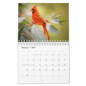 Phantastische BIRDS Fotografie Kalender (Feb 2027)