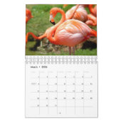Phantastische BIRDS Fotografie Kalender (Mär 2026)