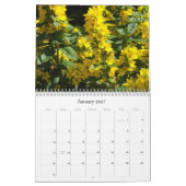 Phantastische Blume 2012 Kalender (Jan 2027)
