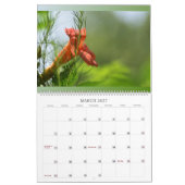 Phantastische Blume im Wall-Kalender blühen Kalender (Mär 2027)