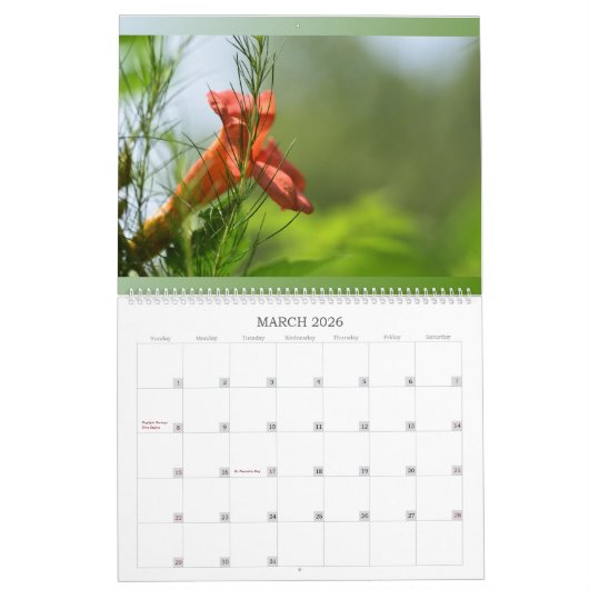 Phantastische Blume im Wall-Kalender blühen Kalender (Mär 2026)