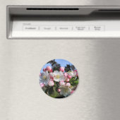 Phantastische Blütenfotografie Magnet (In Situ (Geschirrspüler))