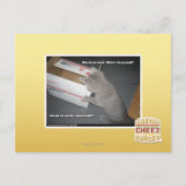 Phantastische Box Postkarte (Vorderseite)