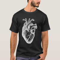 Phantastische Details des anatomischen Herzens