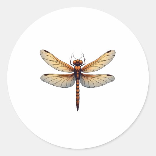 Phantastische DrachenKostüme für Jungen und Mädche Runder Aufkleber (Vorderseite)