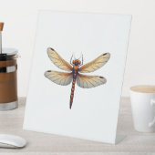 Phantastische DrachenKostüme für Jungen und Mädche Sockelschild (In Situ)