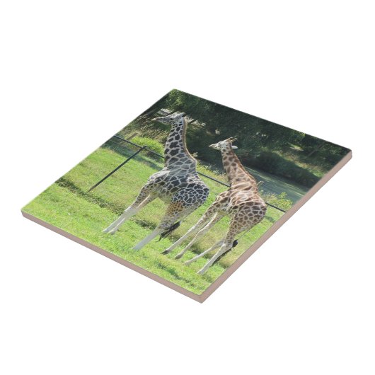 Phantastische Giraffen Fliese (Seite)