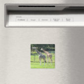 Phantastische Giraffen Magnet (In Situ (Geschirrspüler))