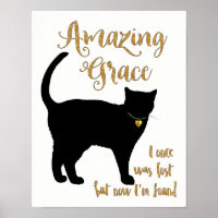 Phantastische Grace gerettete Katze Kurzhaar