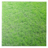 Phantastische grüne Grasplatte Fliese (Vorderseite)