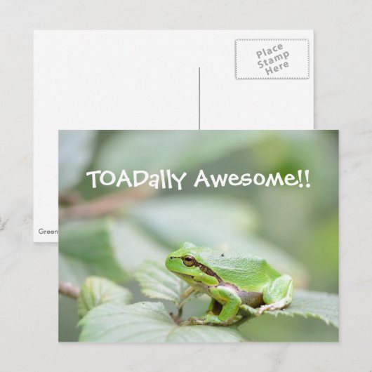 Phantastische Karte mit Frosch (Vorne/Hinten)