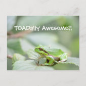 Phantastische Karte mit Frosch (Vorderseite)