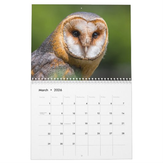 Phantastische Kleider 2026 Kalender (Mär 2026)