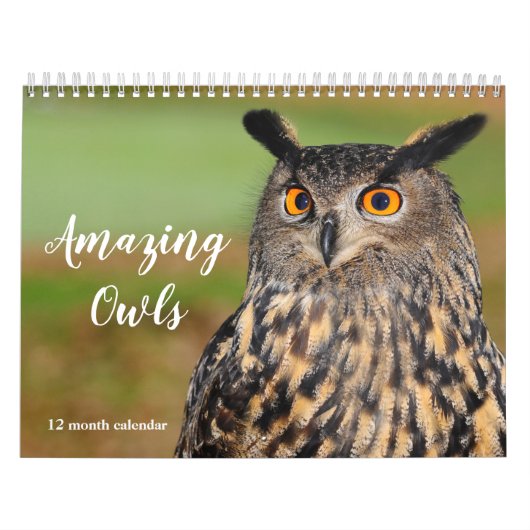 Phantastische Kleider 2026 Kalender (Titelbild)