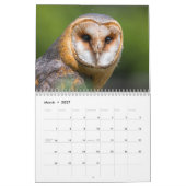 Phantastische Kleider 2026 Kalender (Mär 2027)