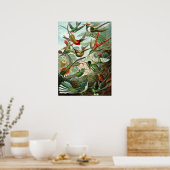 Phantastische Kolibri - Bild von Ernst Haeckel Poster (Küche)